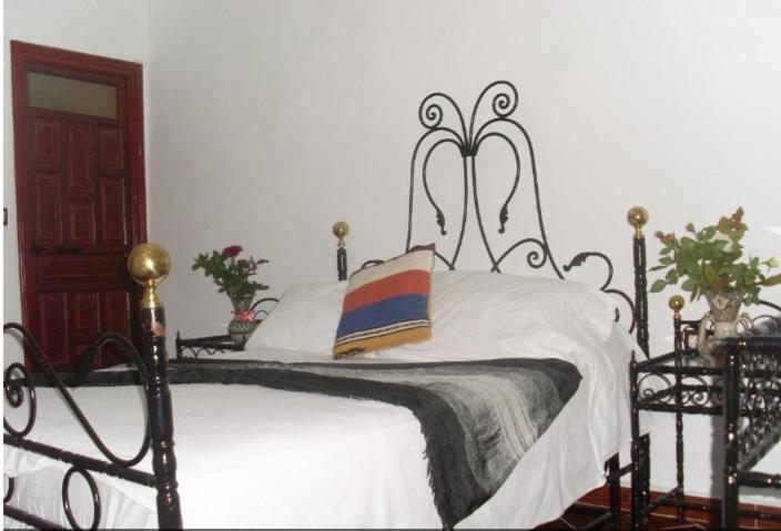 Hostel The Atlas Lion Tanger Eksteriør bilde